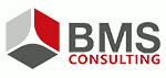 BMS Berens Mosiek Siemes Consulting GmbH